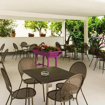 Nicodemo Couette-café Paestum