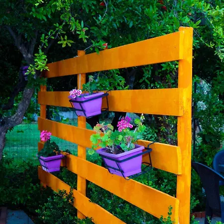 住宿加早餐酒店 尼科迪默住宿加早餐旅馆 4*