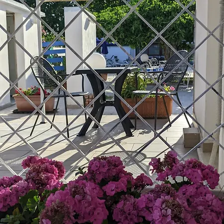 尼科迪默住宿加早餐旅馆 住宿加早餐酒店 4*