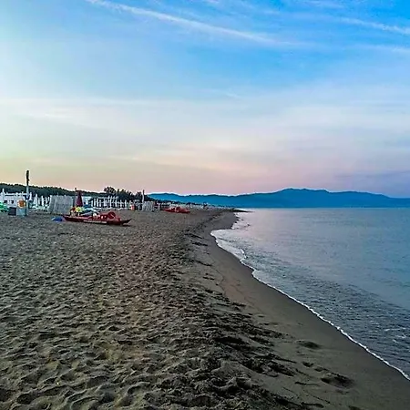 Nicodemo Paestum